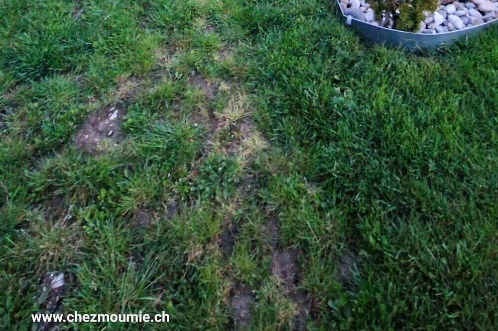Photo of Outdoor in Bevaix