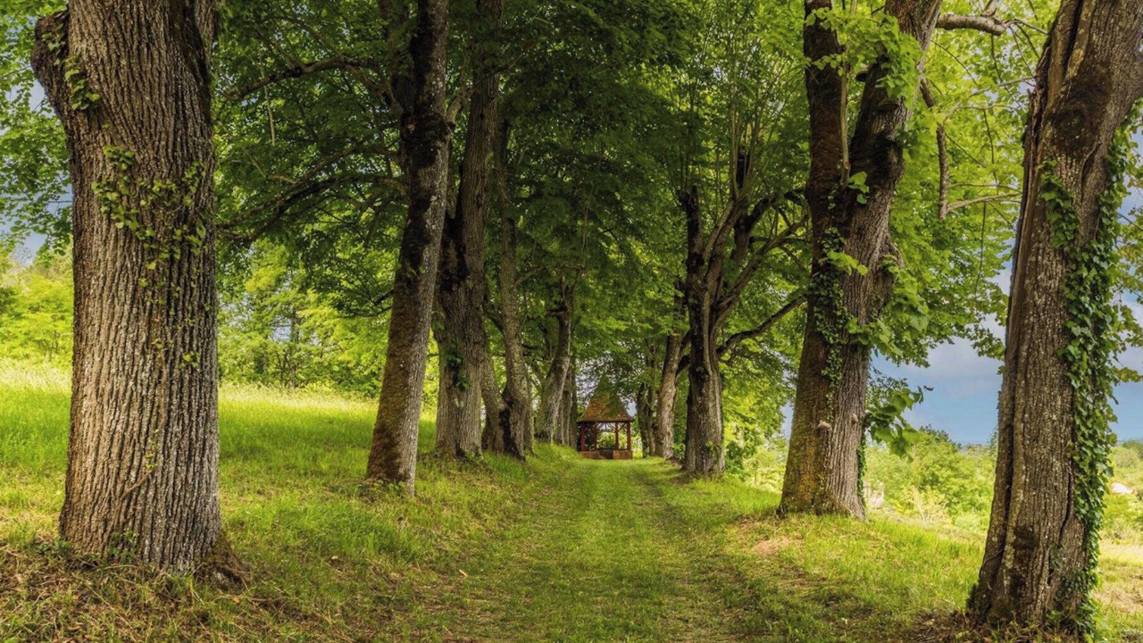 Photo of Outdoor in Castelmoron-sur-Lot