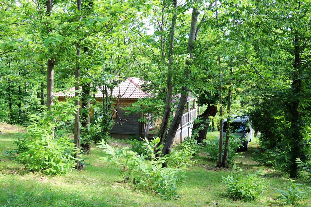 Photo of Outdoor in Gravieres