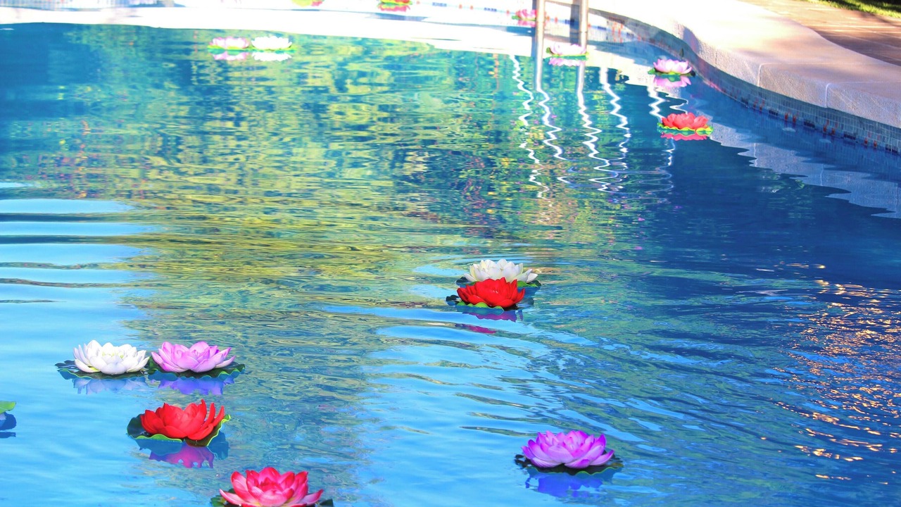Photo of Outdoor in Los Arenales del Sol