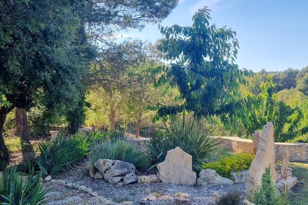 Photo of Outdoor in Querol