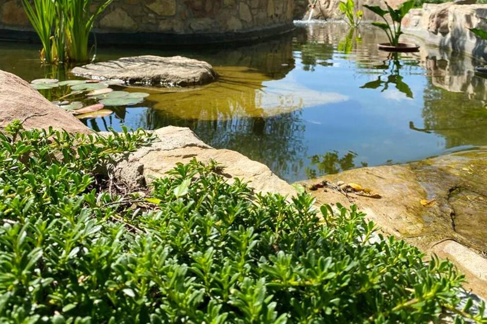 Photo of Outdoor in Querol