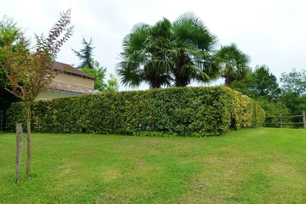 Photo of Outdoor in Ornezan