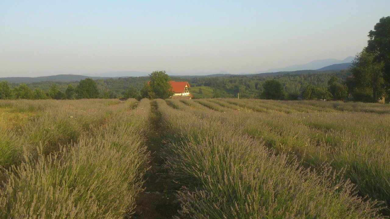 Photo of Outdoor in Rakovica