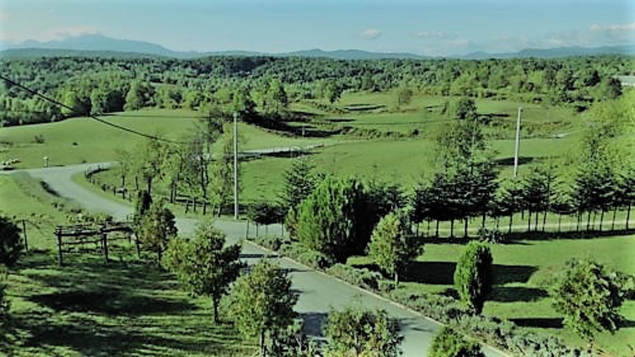 Photo of Others in Rakovica