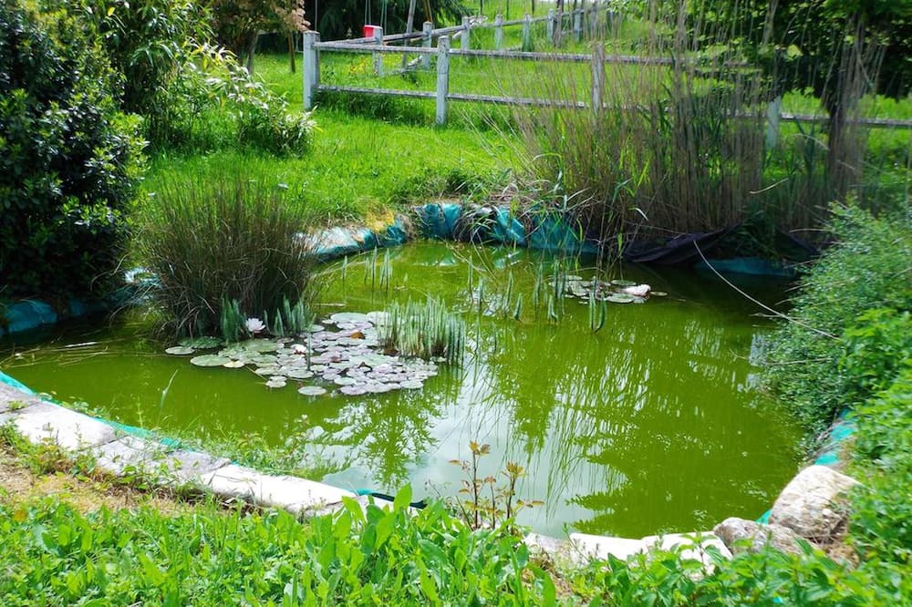 Photo of Outdoor in Saint-Front-de-Pradoux