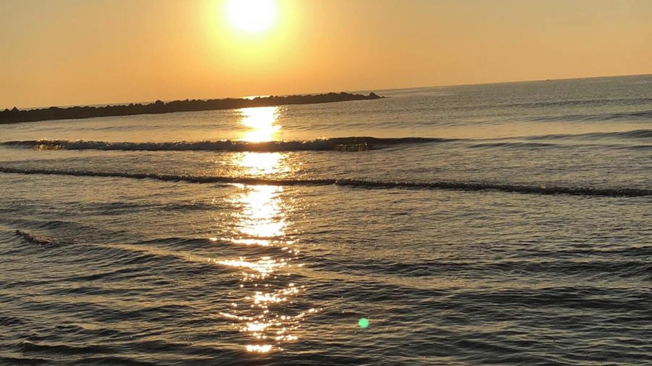 Photo of Others in Playa Pobla de Farnals