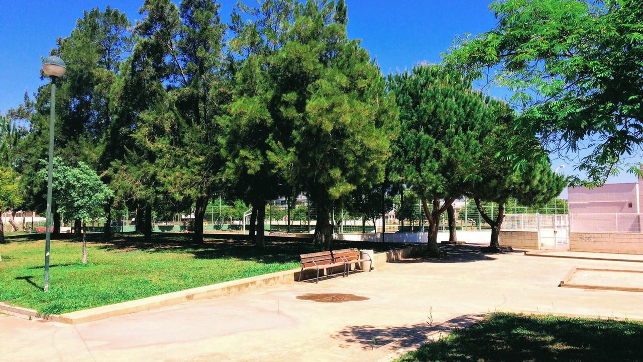 Photo of Outdoor in Playa Pobla de Farnals