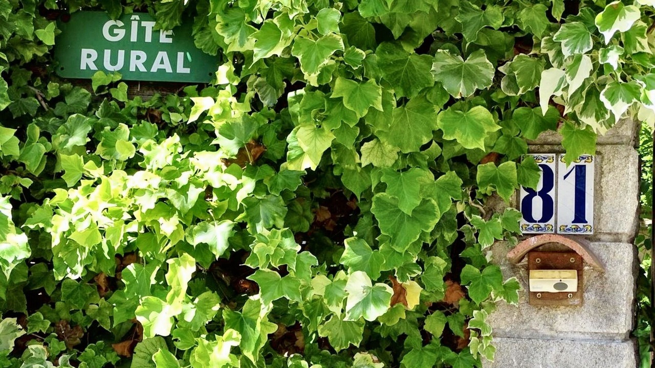 Photo of Outdoor in Cardet