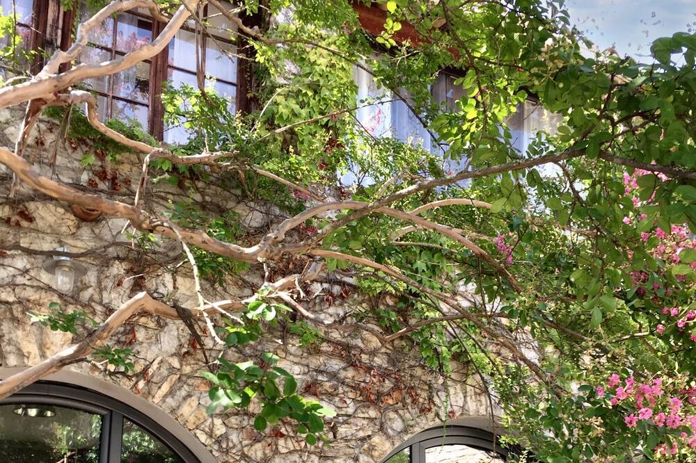 Photo of Outdoor in Saint-Andre-de-Cruzieres