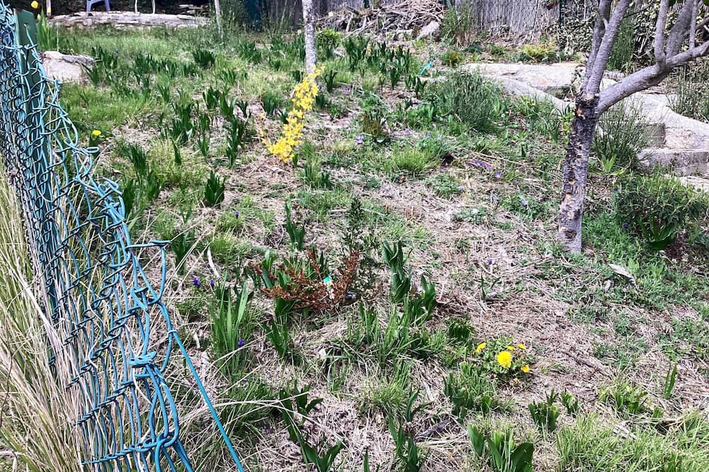 Photo of Outdoor in Vacheres