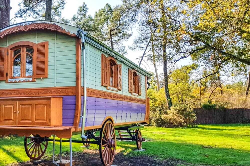 Photo of Others in Bussac-Foret