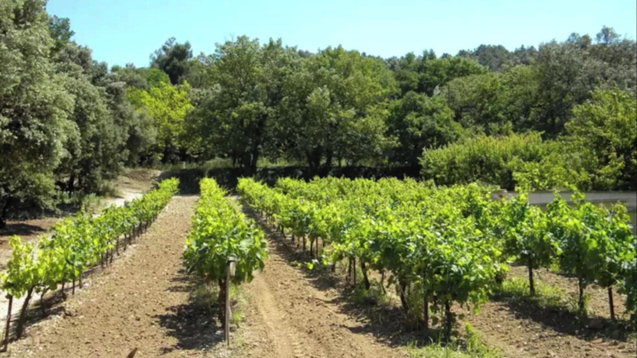 Photo of Outdoor in Bollene