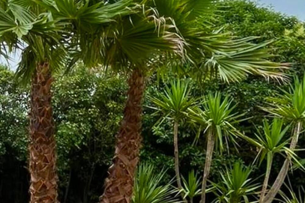Photo of Outdoor in Paulhan