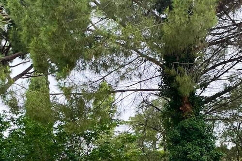 Photo of Outdoor in Paulhan