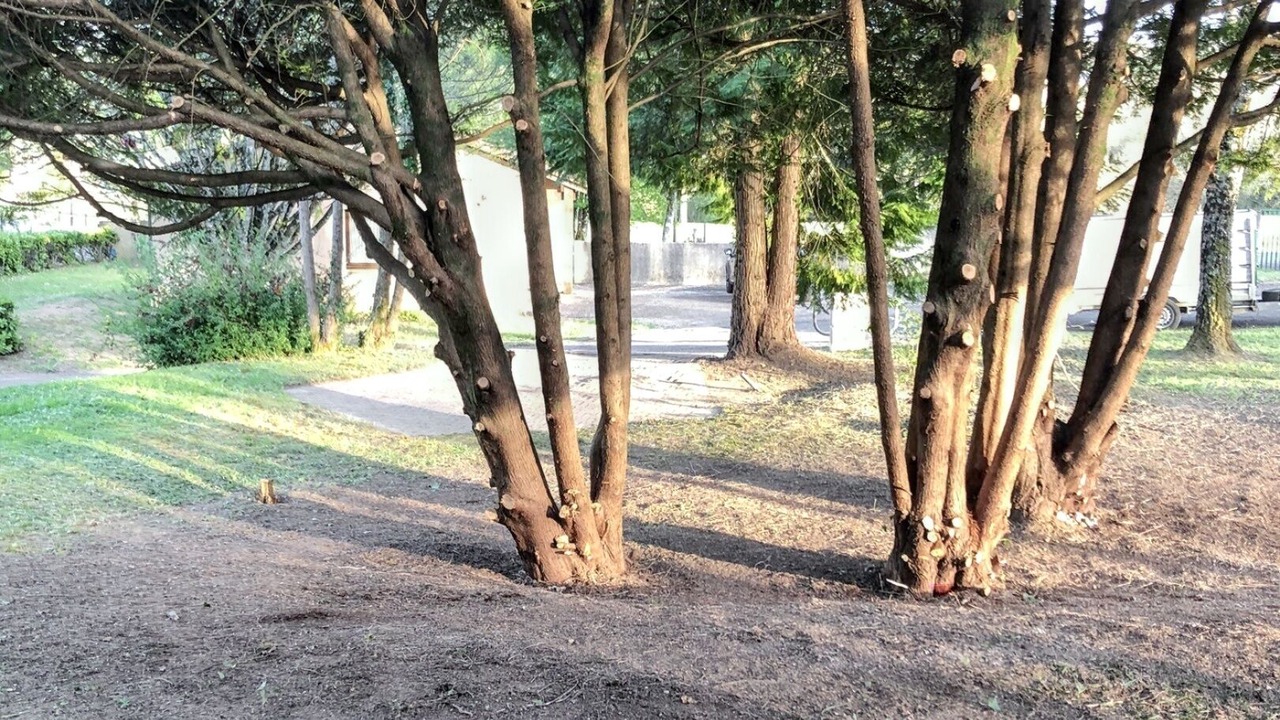 Photo of Others in Leyme