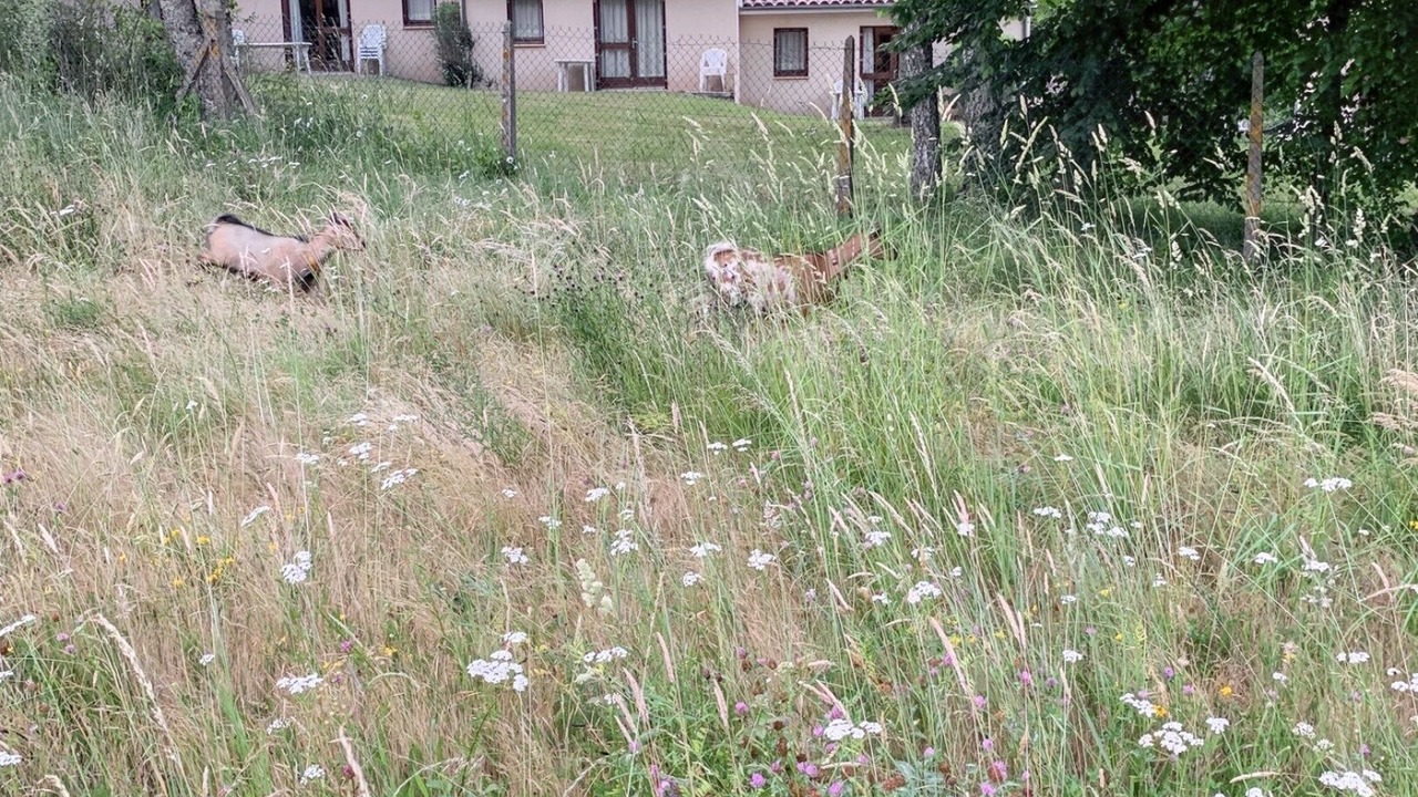 Photo of Outdoor in Leyme