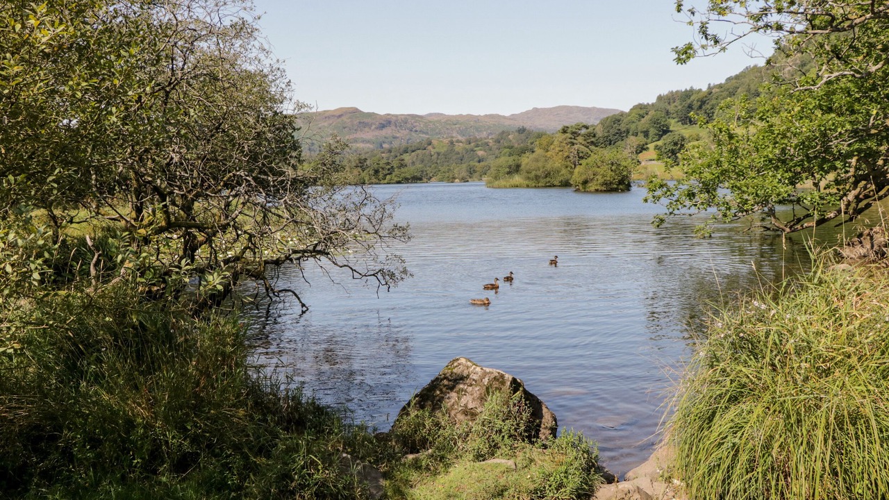 Photo of Others in Greenodd