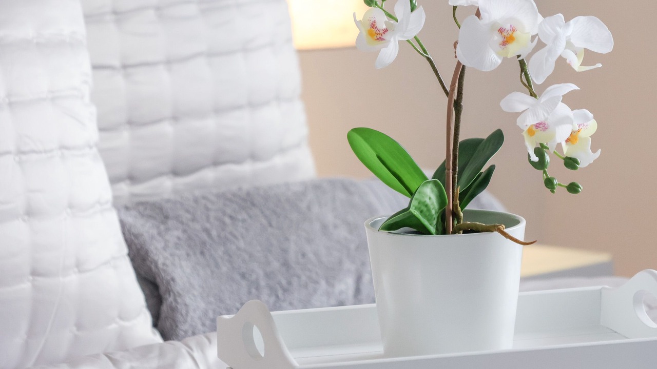 Photo of Others in Hornsea