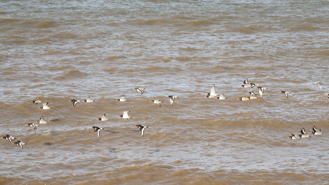 Photo of Others in St George