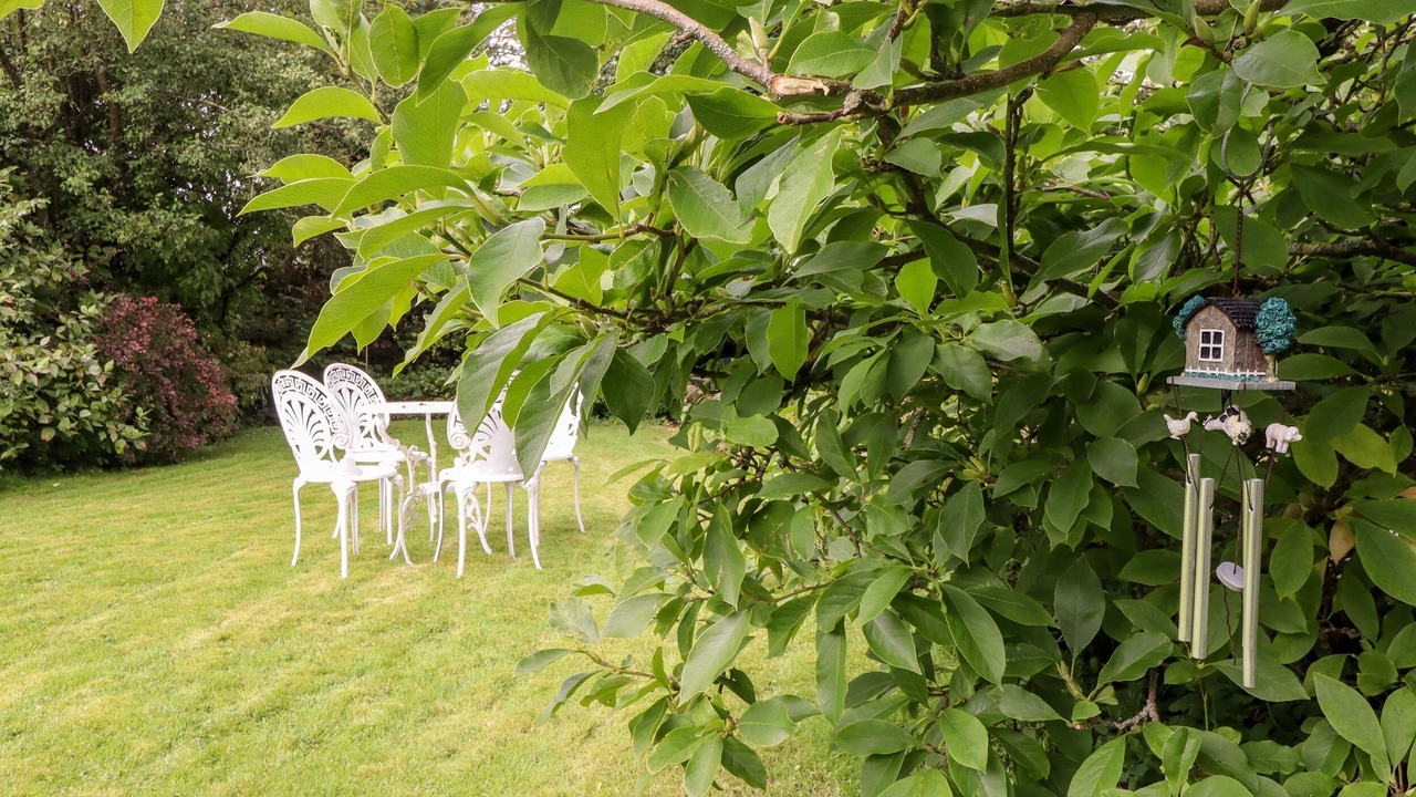 Photo of Others in Kettlewell