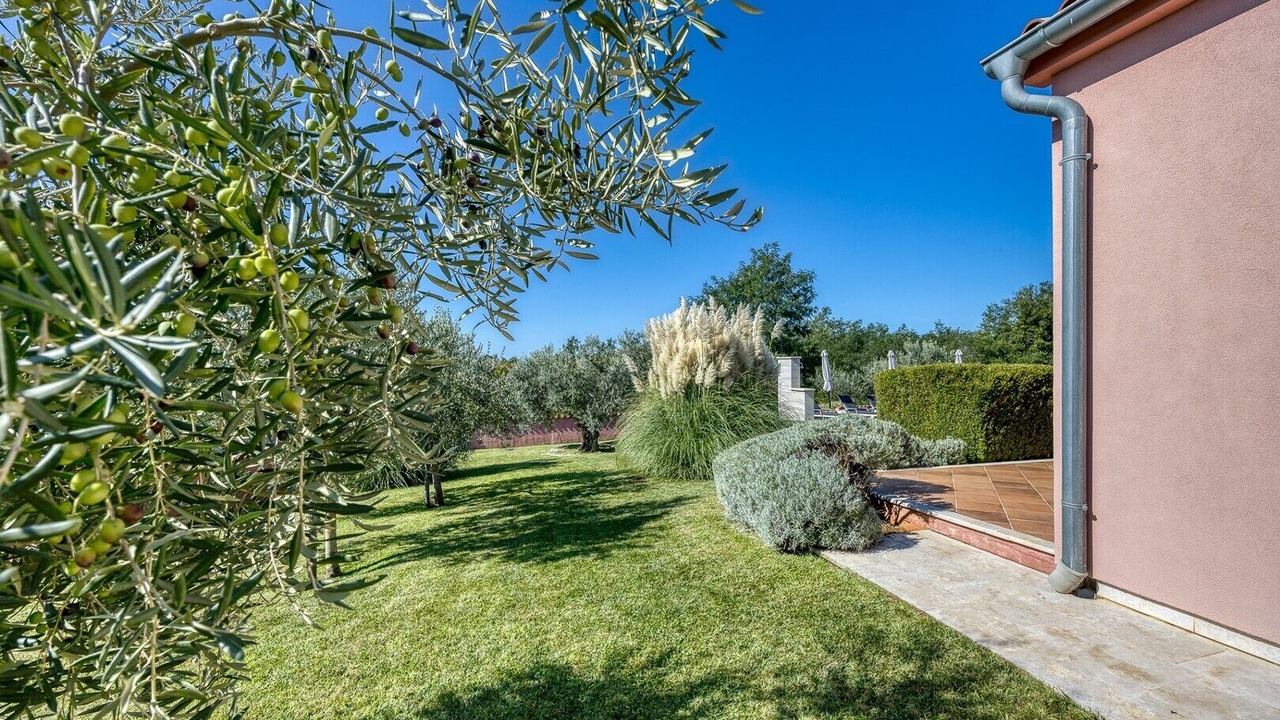 Photo of Outdoor in Mofardini