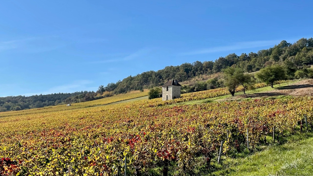 Photo of Outdoor in Givry