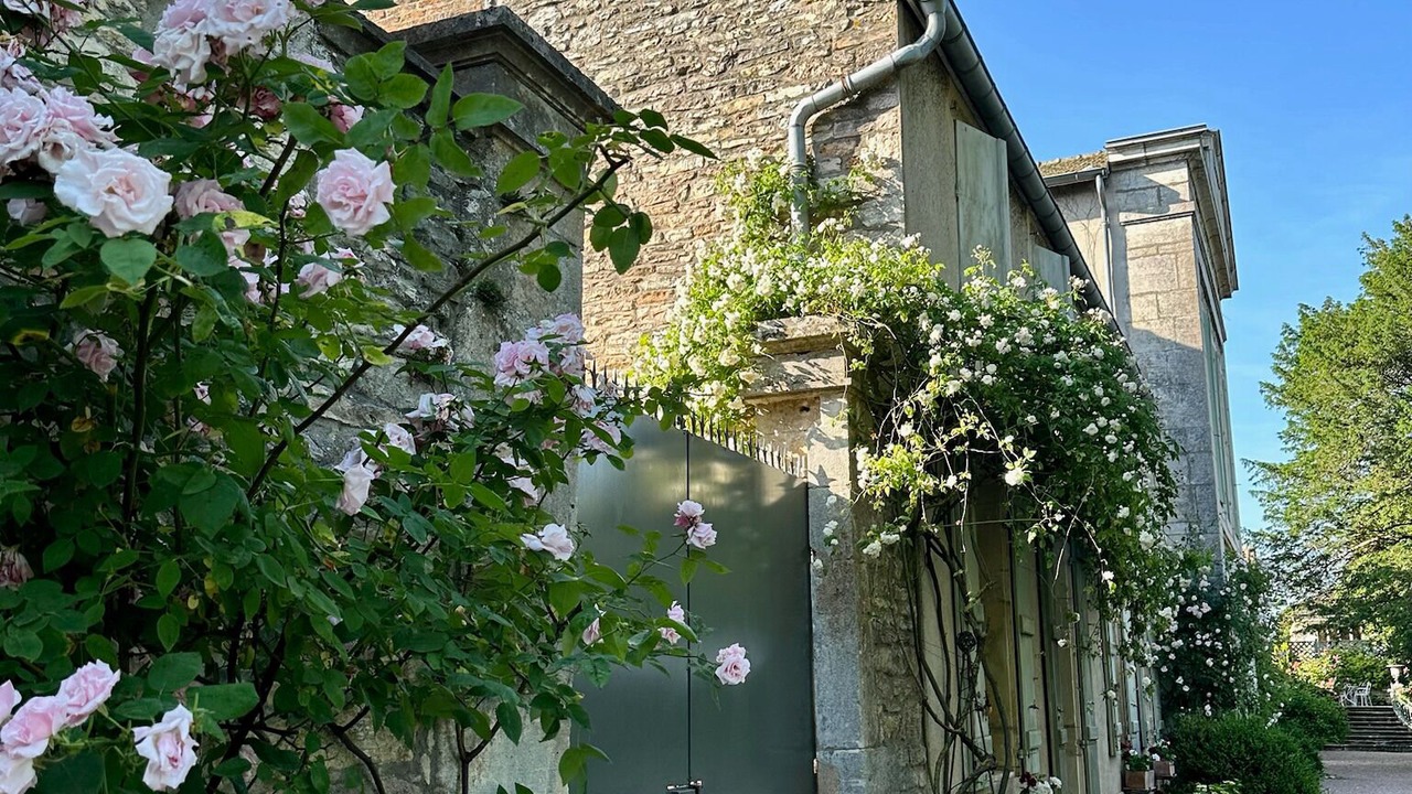 Photo of Outdoor in Givry