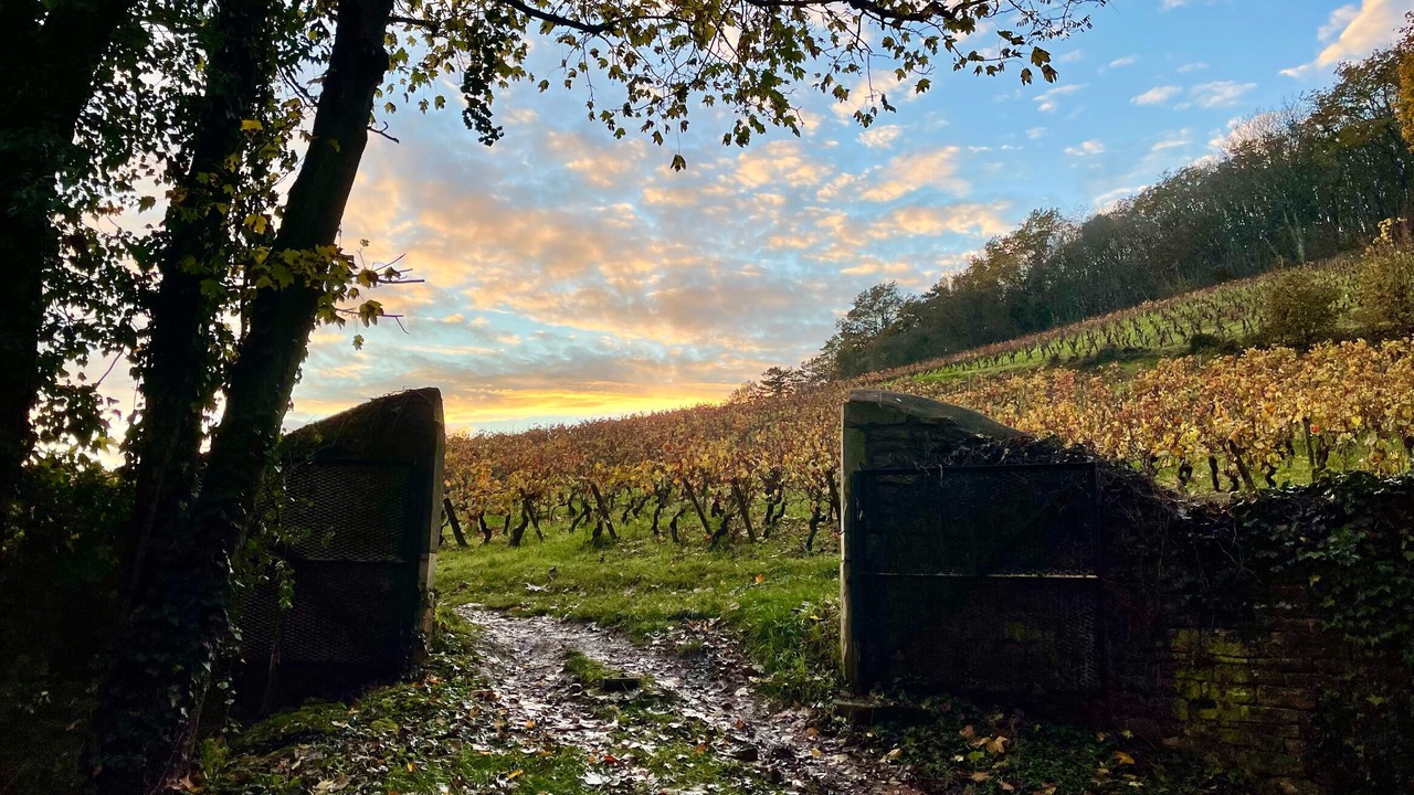 Photo of Outdoor in Givry