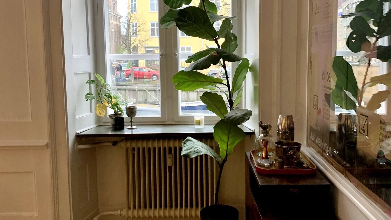 Photo of Others in Christianshavn