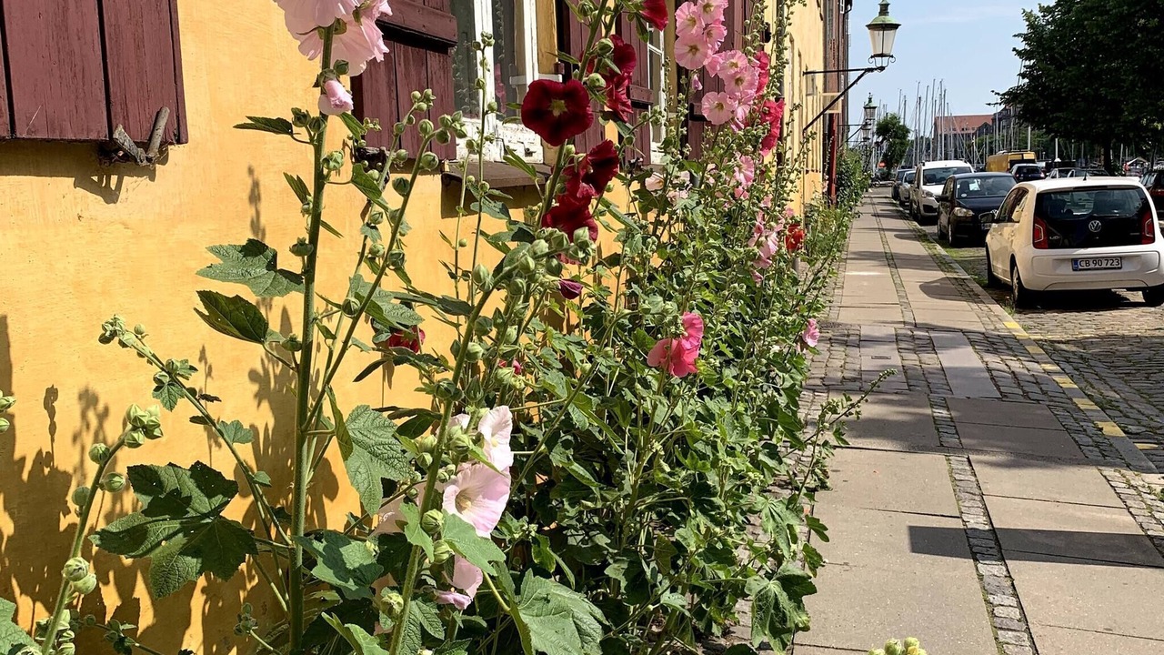 Photo of Others in Christianshavn