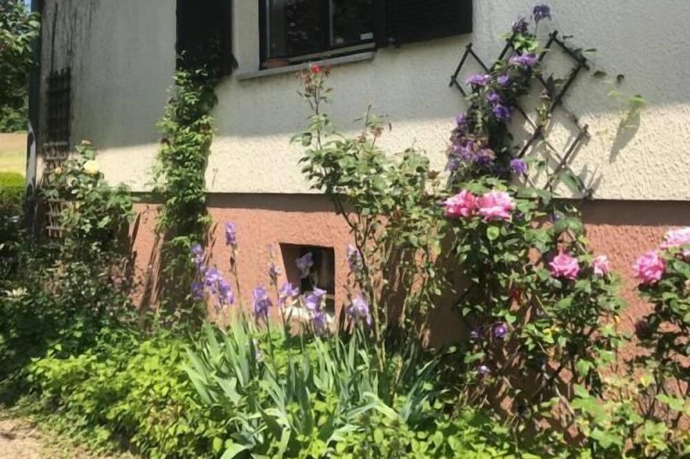 Photo of Outdoor in Drachenbronn