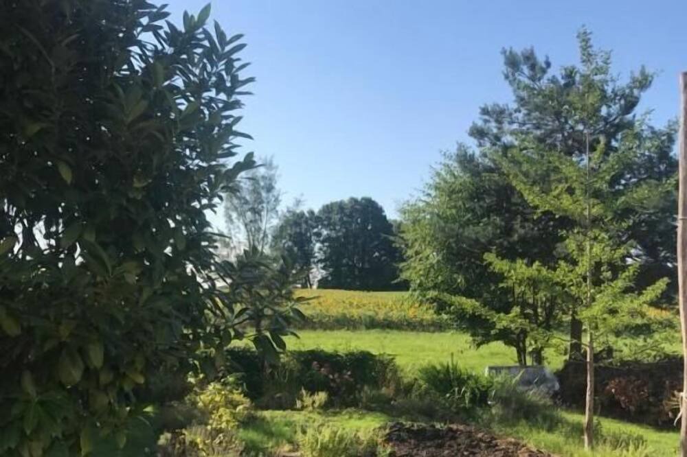 Photo of Outdoor in Drachenbronn