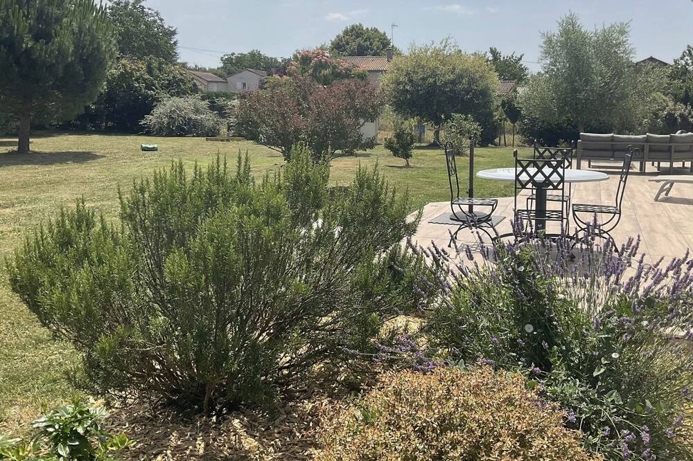 Photo of Outdoor in Saint-Georges-les-Baillargeaux