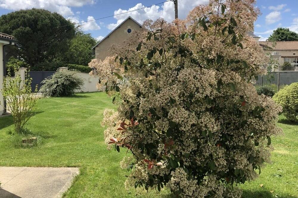 Photo of Outdoor in Saint-Georges-les-Baillargeaux