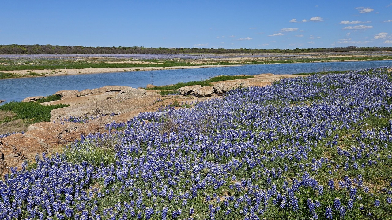 Photo of Others in Buchanan Dam