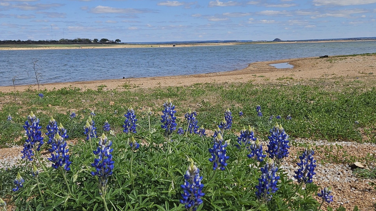 Photo of Others in Buchanan Dam
