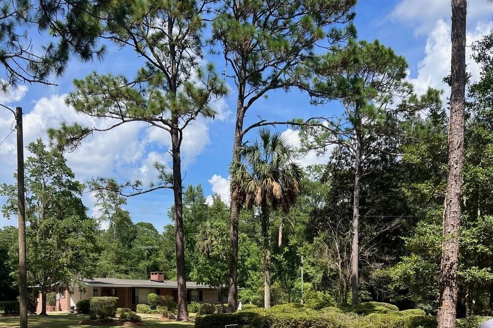 Photo of Outdoor in Crawfordville