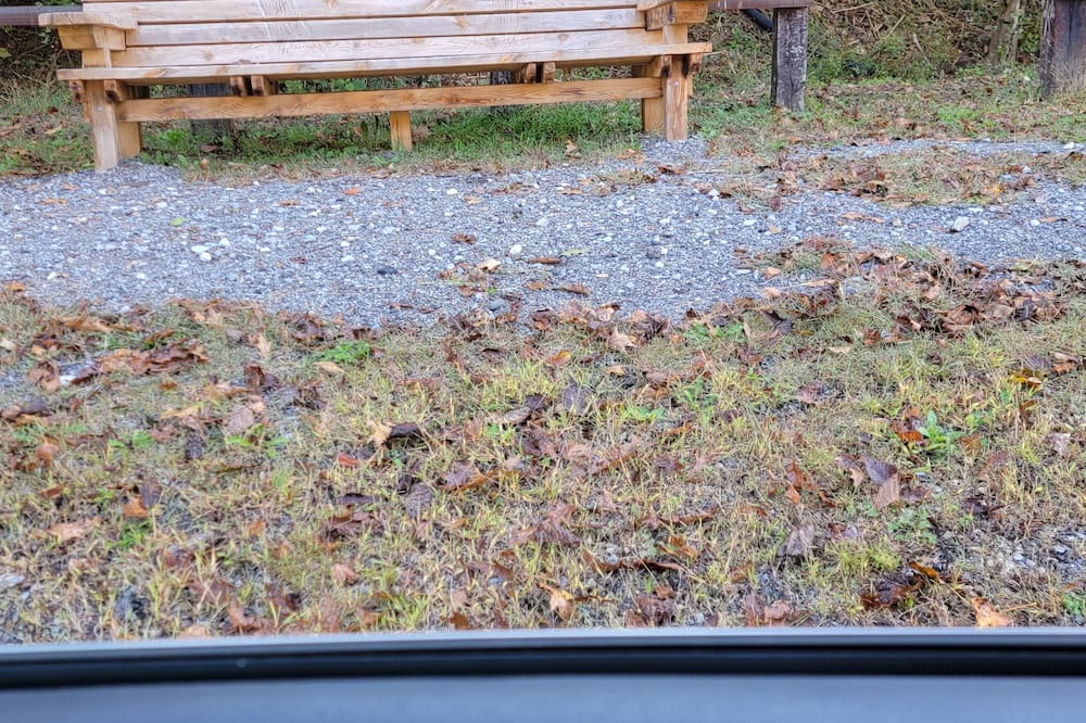 Photo of Others in Duck