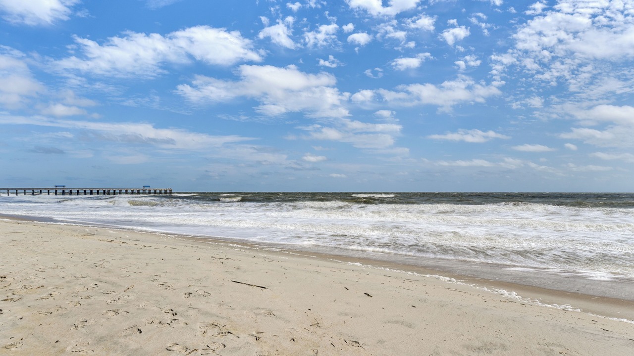 Photo of Others in Fernandina Beach