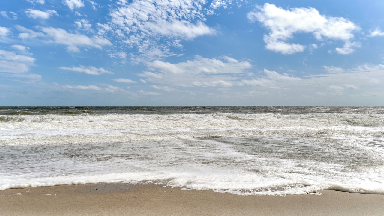 Photo of Others in Fernandina Beach