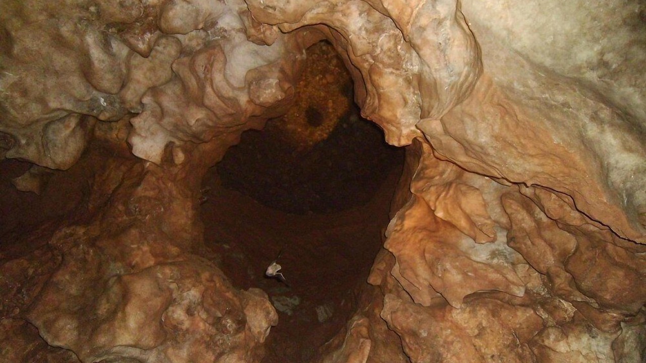 Photo of Others in Alva