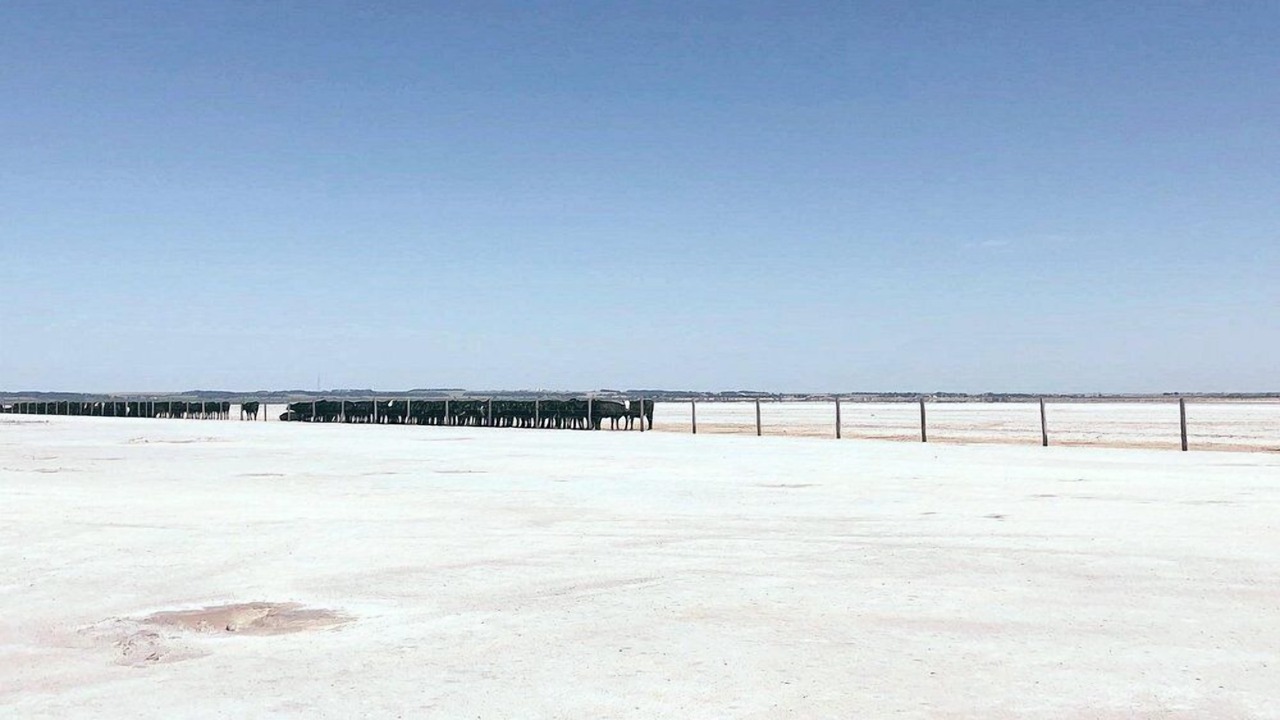 Photo of Others in Alva