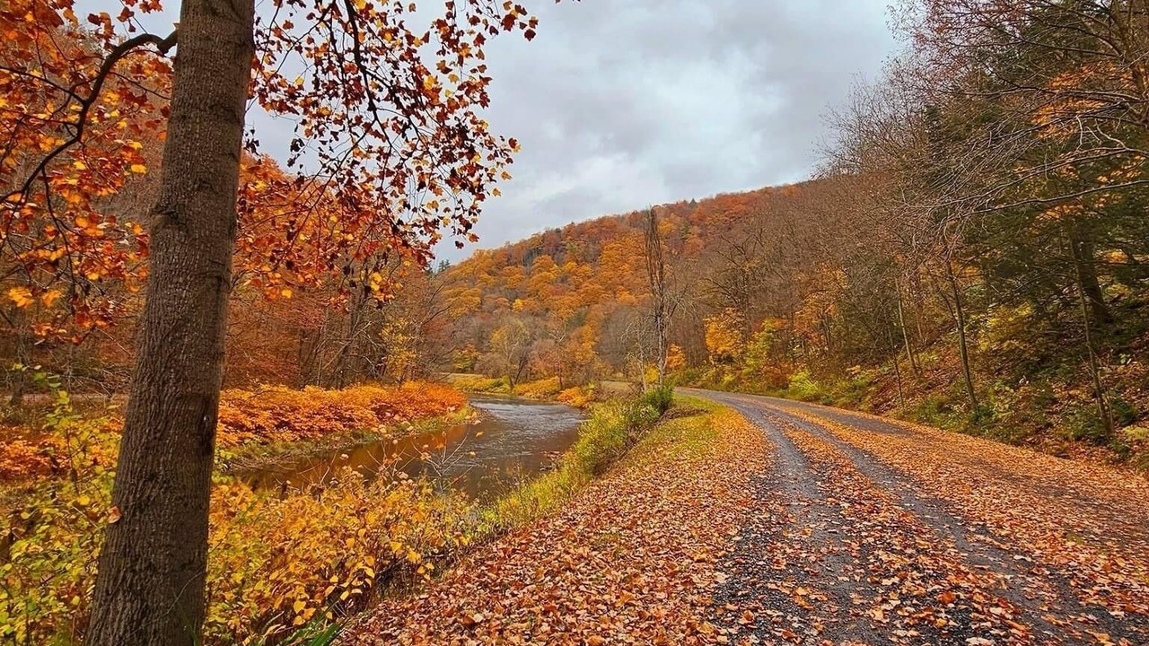 Photo of Others in Wellsboro