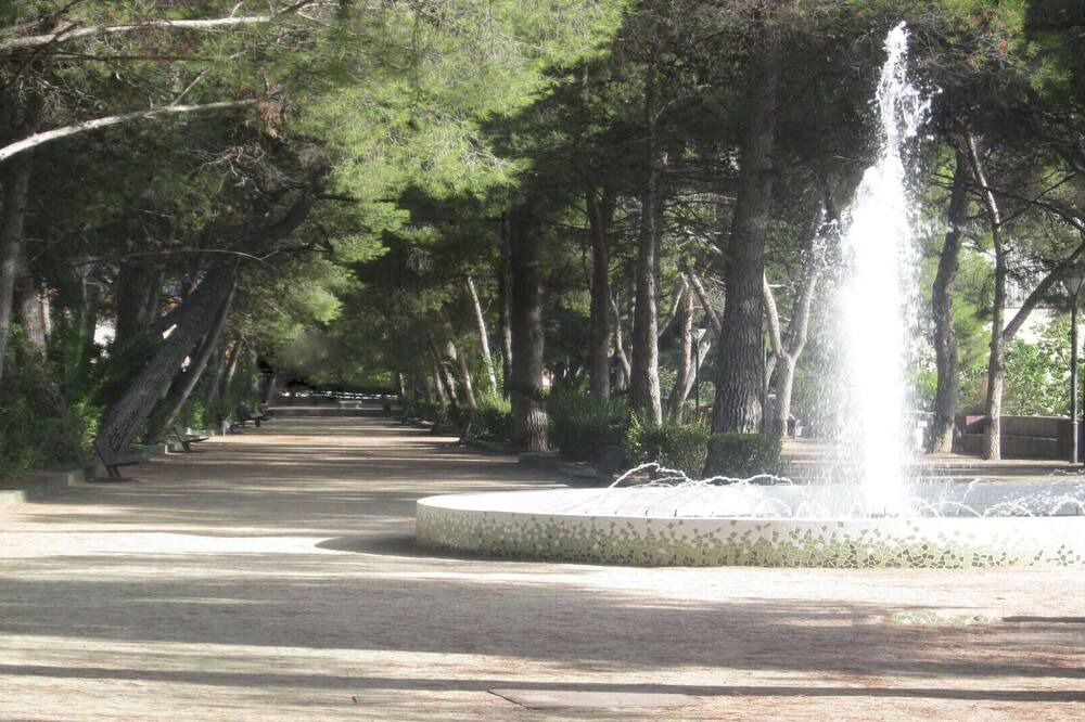 Photo of Outdoor in Altura