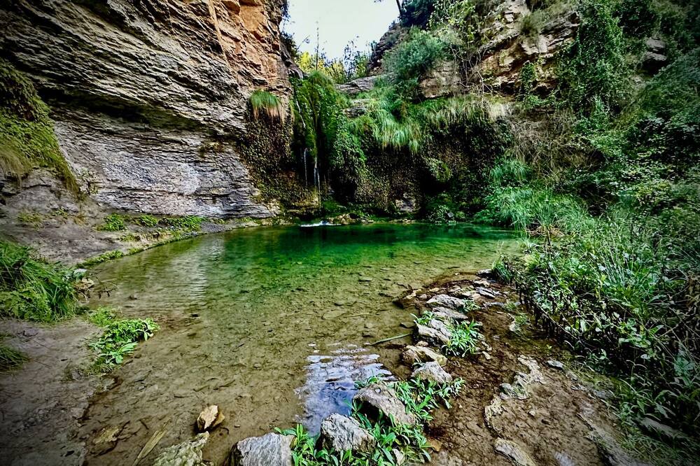 Photo of Outdoor in Altura