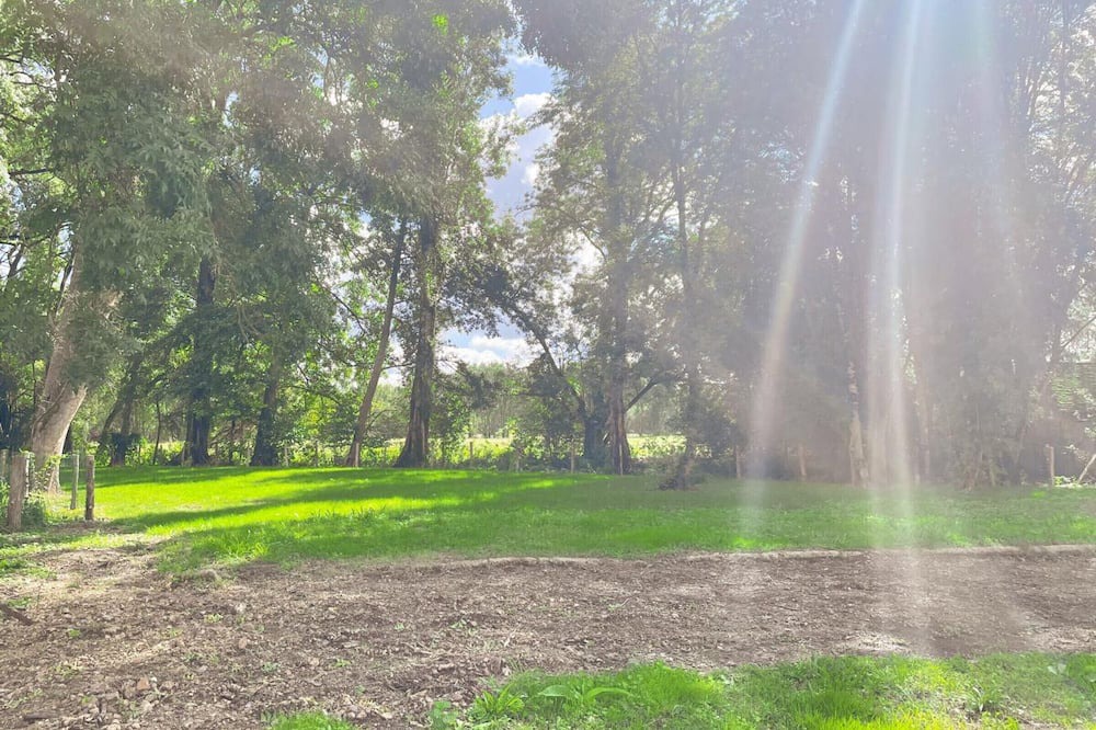 Photo of Others in Couture-sur-Loir