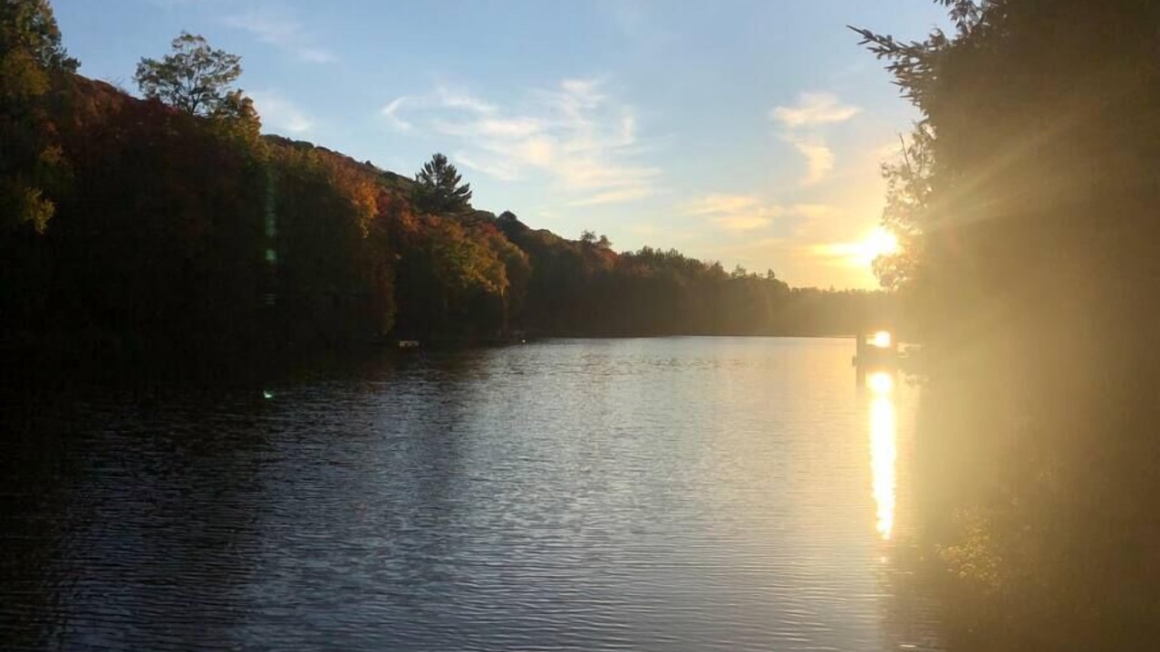 Photo of Others in Shawinigan