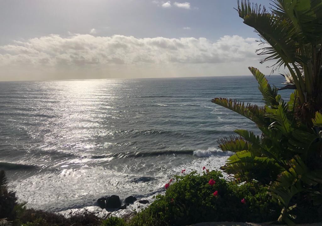 Photo of Others in La Joya