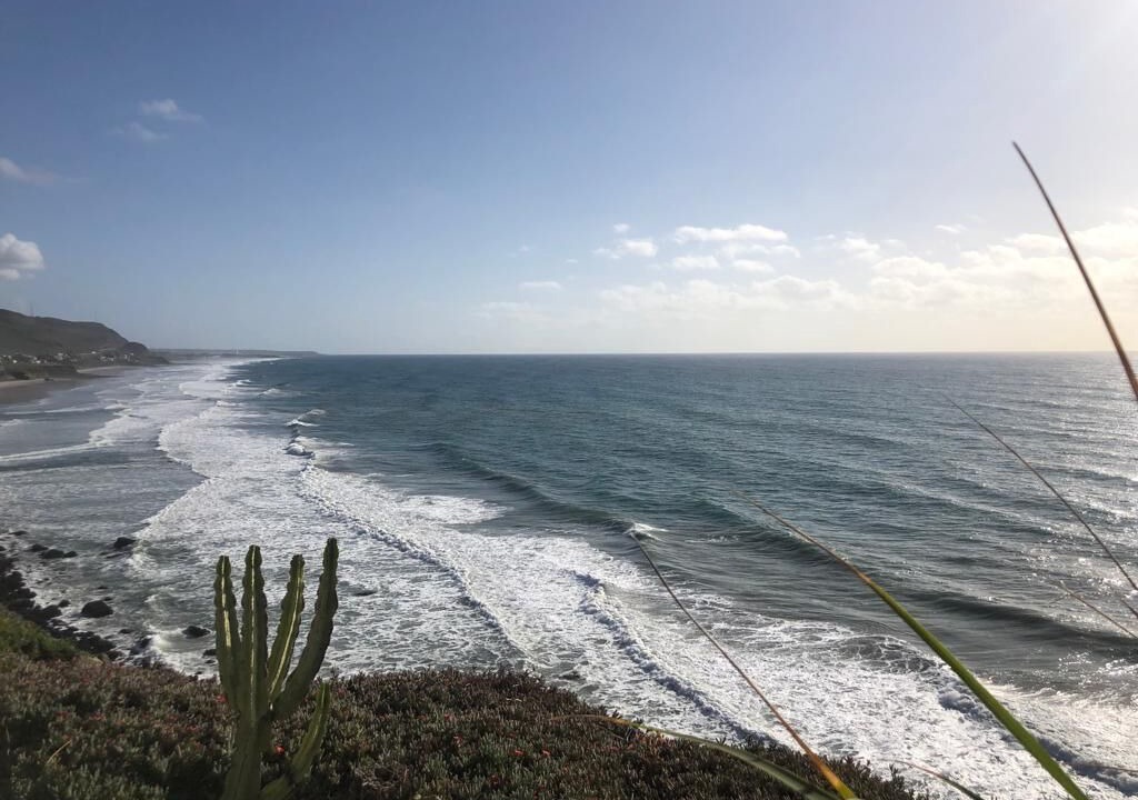 Photo of Others in La Joya